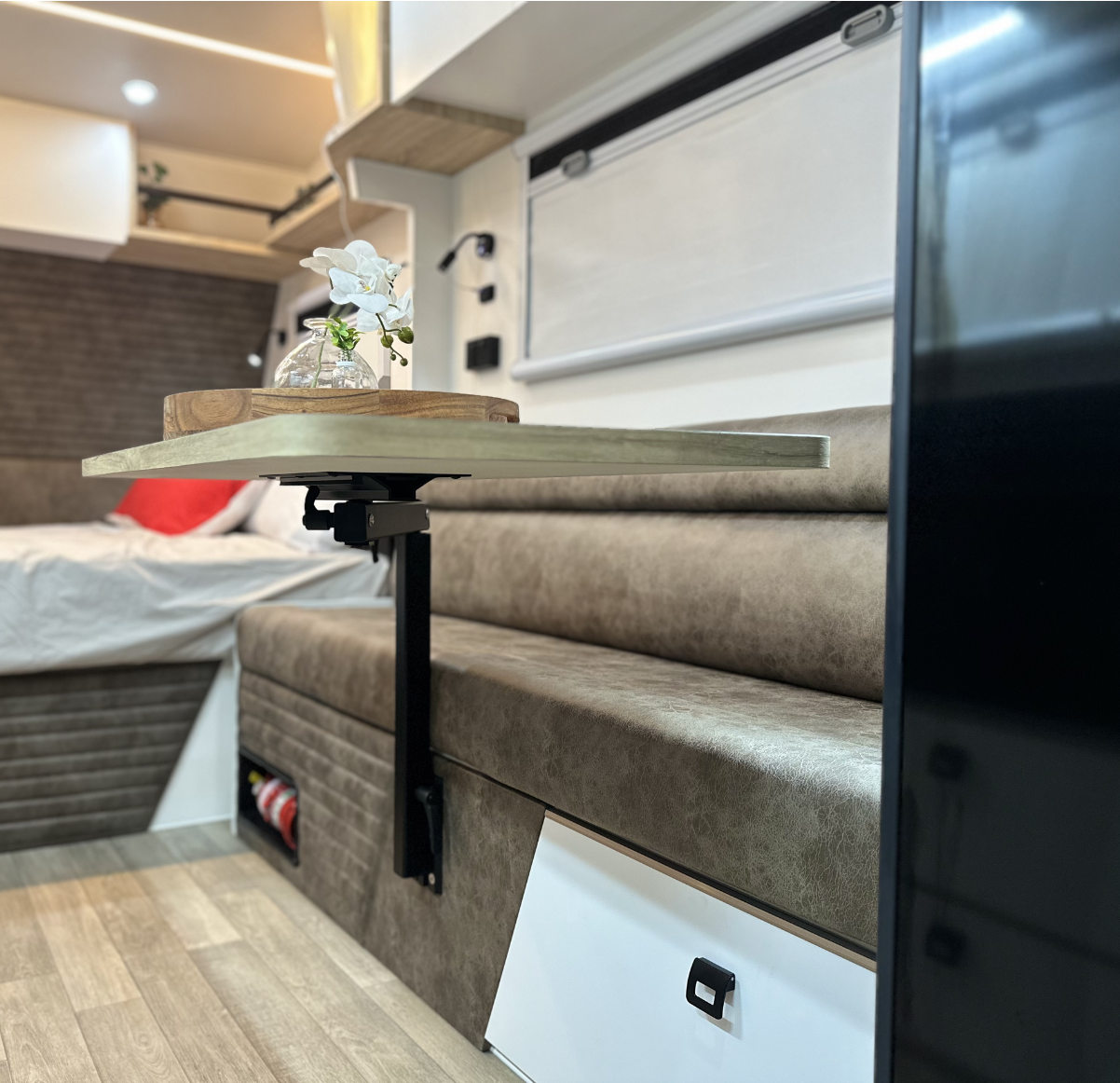 Armadillo Interior Main