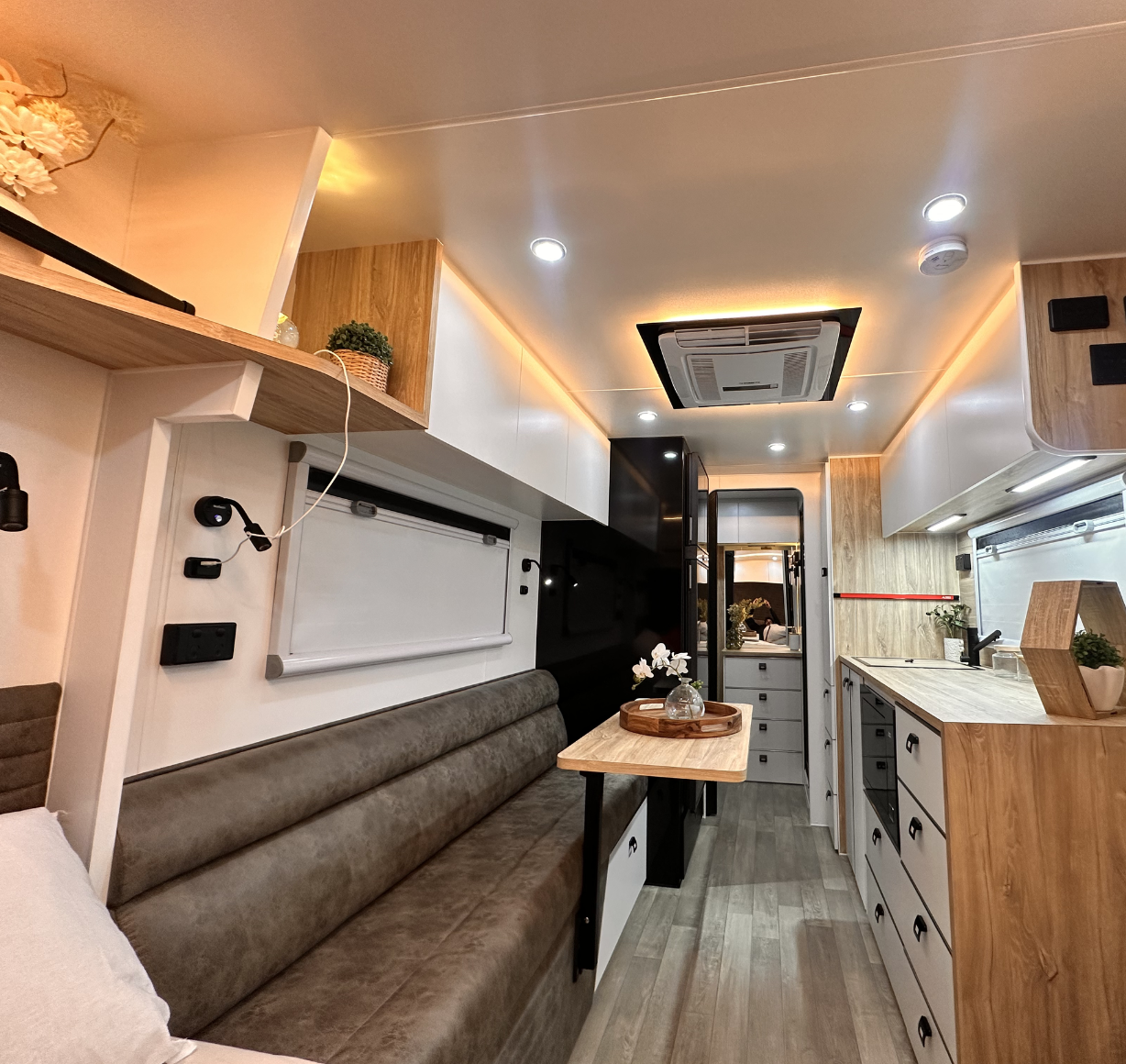Armadillo Interior Detail